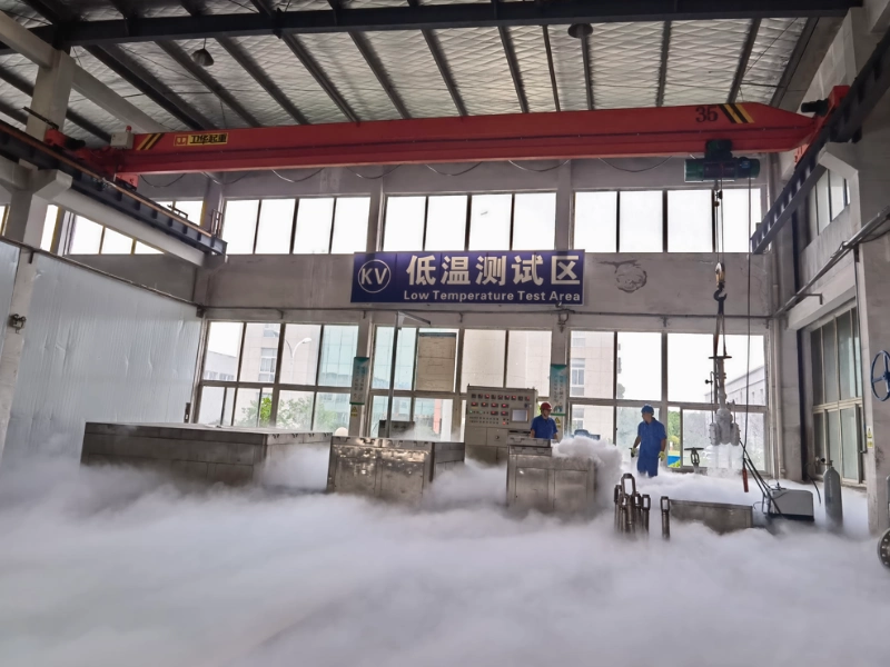 11 Low-Temperature Testing Area
