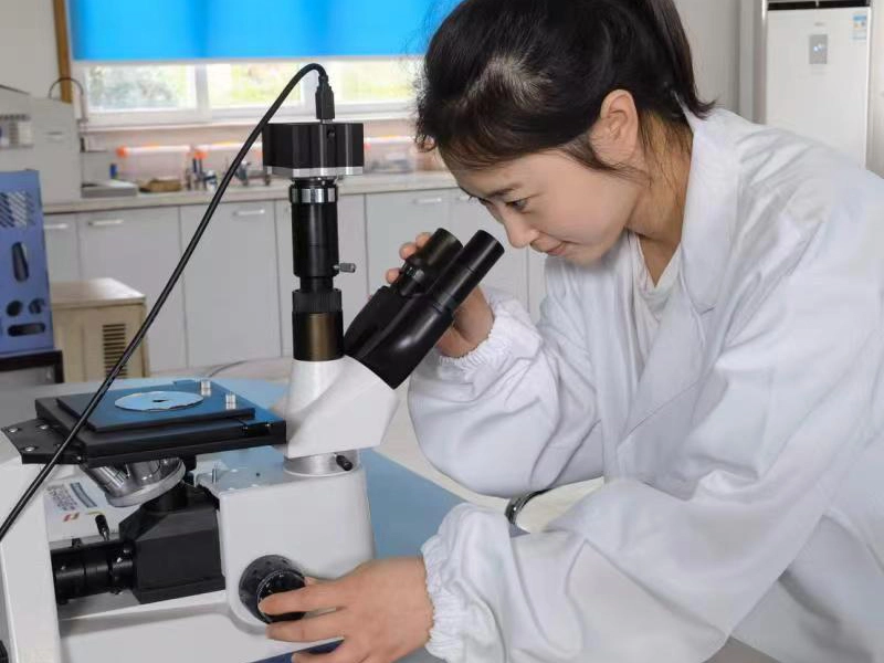 25 Laboratory